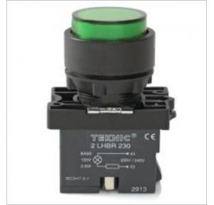 Teknic Clear Illuminated Momentary Actuator With Filament Bulb 6-130V AC/DC, P2ALP7